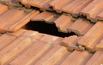 roof repair Colliston, Angus