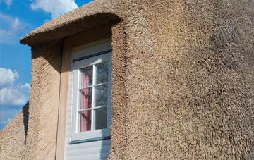 Colliston thatch roof disadvantages