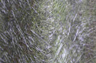 Colliston fibreglass roof work